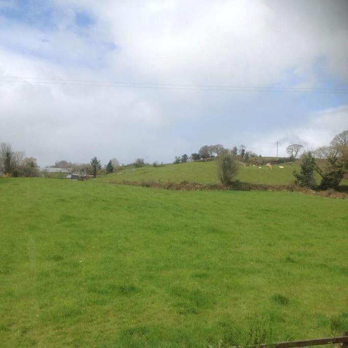 Killarney Farm House. Exterior foto